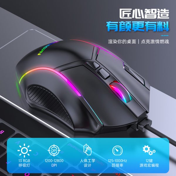 X15 - 图片 3