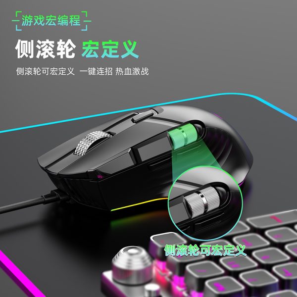 X13 - 图片 4